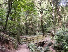 The Percy Scenic Reserve, features walking tracks, lawns, native bushes, gardens, and a large waterfall.