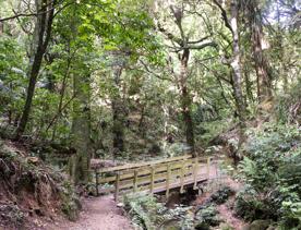 The Percy Scenic Reserve, features walking tracks, lawns, native bushes, gardens, and a large waterfall.