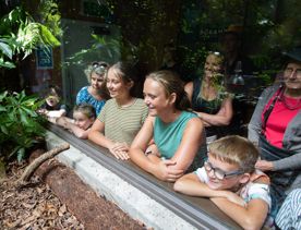 People peering through glass into an enclosure at Pūkaha National Wildlife Centre