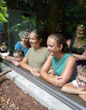People peering through glass into an enclosure at Pūkaha National Wildlife Centre