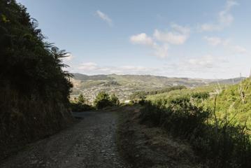 A section of dirt road on the Farm Road in Ngā Ara o Rangituhi, Porirua.