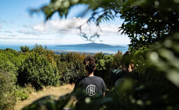 Two people sitting on a bench looking out at Kapiti Island over the native bush on the Te Au Track, in Hemi Matenga Reserve.