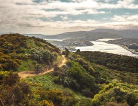 A scenic view of Porirua Harbour from  Colonial Knob Walkway on Mount Rangituhi. A cyclist is riding their mountain bike on the trail.