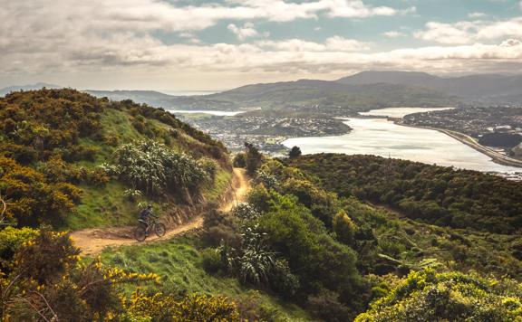 A scenic view of Porirua Harbour from  Colonial Knob Walkway on Mount Rangituhi. A cyclist is riding their mountain bike on the trail.