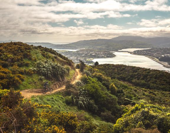 A scenic view of Porirua Harbour from  Colonial Knob Walkway on Mount Rangituhi. A cyclist is riding their mountain bike on the trail.