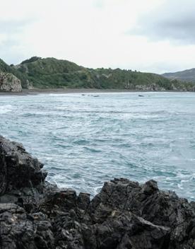 This clothing-optional beach is a good spot for scenic walks and wildlife spotting. At the western entrance of Wellington Harbour, picturesque Breaker Bay beach is part of the Oruaiti Reserve.