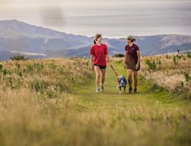 Two friends and their dog walk along the Skyline Walkway in Wellington.
