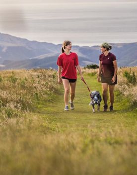 Two friends and their dog walk along the Skyline Walkway in Wellington.