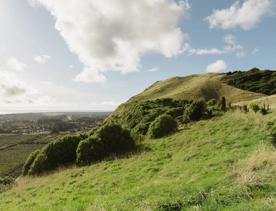 The view from the top of Mataihuka Walkway on Kāpiti Coast overlooking Raumati, Queen Elizabeth Park, and Kapiti Island.