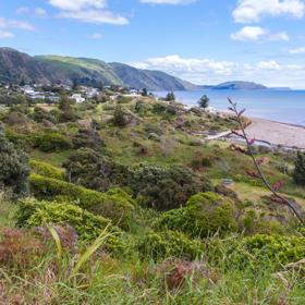 A landscape image of native New Zealand bush, a beach, rolling green hills and a bright blue sky.