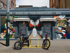 John Oliver 'Bird of the Century' Mural by artist Kiran Parbhu.