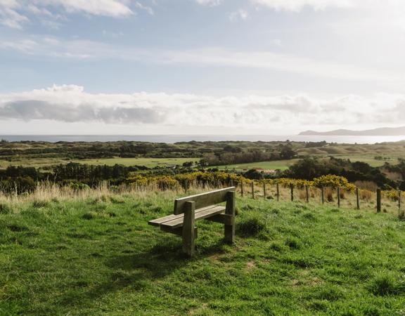 A section of the Coastal Lookout Walk in Whareroa Farm on the Kāpiti Coast. The grassy hills give a view out to Kapiti Island.