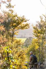 Person sitting on a bench surrounded by native bush at Fensham Reserve in Wairarapa, overlooking a scenic valley with trees and farmland in the distance.