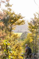Person sitting on a bench surrounded by native bush at Fensham Reserve in Wairarapa, overlooking a scenic valley with trees and farmland in the distance.