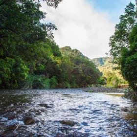 The screen locations of Catchpool Valley, with the river, lush bush,  forest, and grassland.