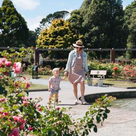 An adult and child walk alongside a fountain at the Wellington Botanic Gardens ki Paekākā. Pink and red roses surround them.