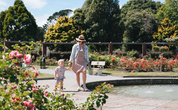 An adult and child walk alongside a fountain at the Wellington Botanic Gardens ki Paekākā. Pink and red roses surround them.