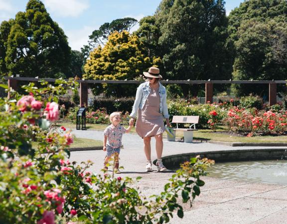 An adult and child walk alongside a fountain at the Wellington Botanic Gardens ki Paekākā. Pink and red roses surround them.