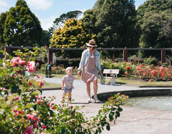 An adult and child walk alongside a fountain at the Wellington Botanic Gardens ki Paekākā. Pink and red roses surround them.