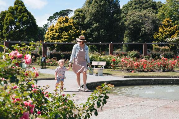 An adult and child walk alongside a fountain at the Wellington Botanic Gardens ki Paekākā. Pink and red roses surround them.