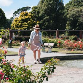 An adult and child walk alongside a fountain at the Wellington Botanic Gardens ki Paekākā. Pink and red roses surround them.