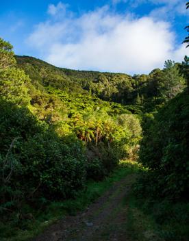 Camp Wainuiomata screen location. Has several buildings and is surrounded by forest and bush.