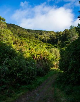 Camp Wainuiomata screen location. Has several buildings and is surrounded by forest and bush.