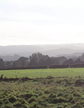 Mangaroa Valley Road screen location, a scenic rural setting with native forest, farmland, and a mountainous backdrop.