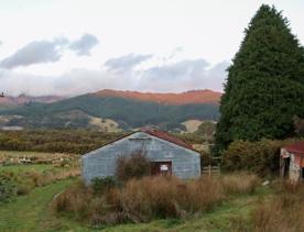 Corrugated iron sheds sit among the grassland of Wallaceville Farmland.