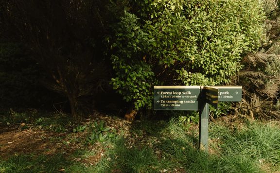 A green and yellow signpost showing which directions trails are in, on the Forest Loop Walk, Whareroa Farm.