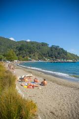 People sunbathing along Days Bay with blue skies and sea.