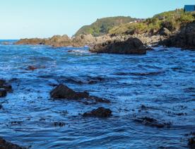 Breaker Bay on a sunny day, blue and green waves crashing on the stoney shore, with green cliffs surrounding.