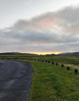 An expansive, coastal area of park and wilderness just north of the capital. With 180 hectares of open space and pockets of native bush, Whitireia Park is where people in Porirua come to roam on foot, bike, or hoof.