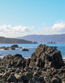 Breaker Bay on a sunny day, blue and green waves crashing on the stoney shore, with green cliffs surrounding.