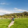 A family in neon clothing walking on a wooden boardwalk surrounded by green farmland.