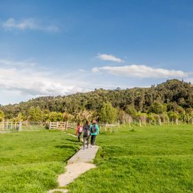 A family in neon clothing walking on a wooden boardwalk surrounded by green farmland.