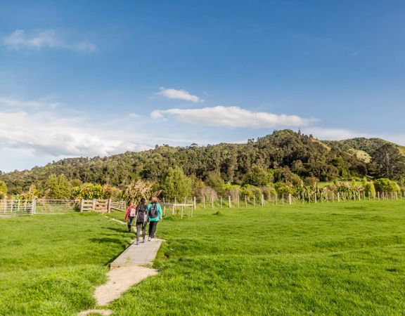 A family in neon clothing walking on a wooden boardwalk surrounded by green farmland.