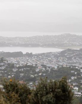 The Brooklyn Wind Turbine sits on a hill above Wellington, with views of the city. Bush and trees surround the area.