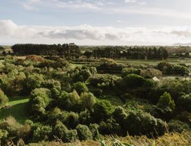 A section of the Coastal Lookout Walk in Whareroa Farm on the Kāpiti Coast. The grassy hills give a view out to Kapiti Island.