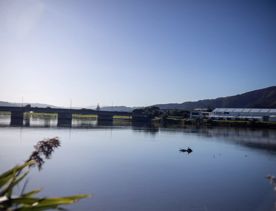 The Petone boat ramp, Hikoikoi,  with colourful boat sheds and boats in the morning sun.