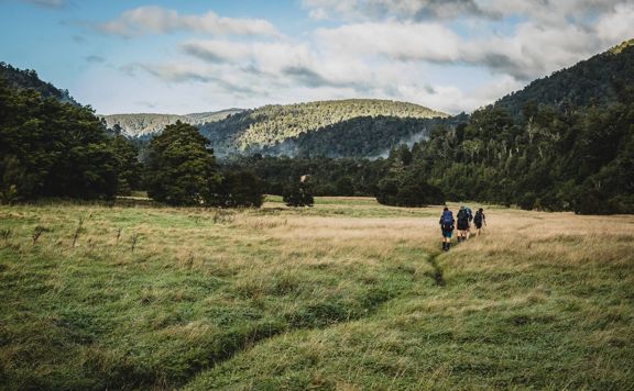 A group of four hikers walking through a grassy flat area with hills and dense trees in the distance.