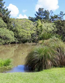 A site of significant conservation value, the estuary is easily accessible in Porirua. A 30-minute drive from the capital, the Pāuatahanui Inlet is a large estuary surrounded by a wildlife reserve.