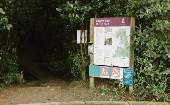 A section of the Cheviot Road Track in Eastbourne. There is mature native bush with plenty of shade.
