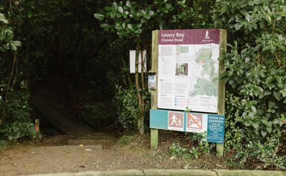 A section of the Cheviot Road Track in Eastbourne. There is mature native bush with plenty of shade.