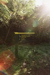 A green and yellow sign on Pukeatua Track showing the directions and times for each trail in the area.