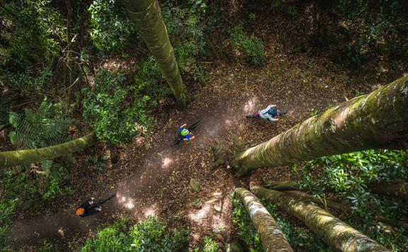 Looking down from the trees, three cyclists ride on a dirt path.