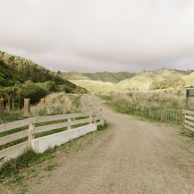 A section of the Farm Race Track in Whereroa Farm. The trail is on a large gravel road through the centre of the farm.