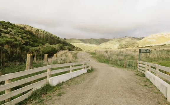 A section of the Farm Race Track in Whereroa Farm. The trail is on a large gravel road through the centre of the farm.