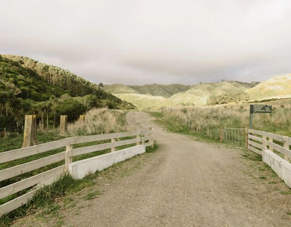 A section of the Farm Race Track in Whereroa Farm. The trail is on a large gravel road through the centre of the farm.