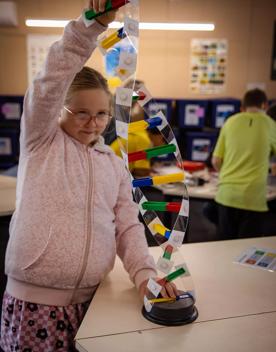 A young child plays with a colourful model of DNA sequence.